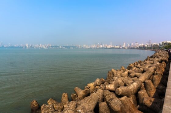 The Systematic Erasure of Mumbai’s Fishermen: A Vanishing Livelihood